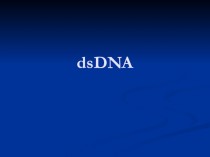 Генетична карта поліомавірусів dsDNA