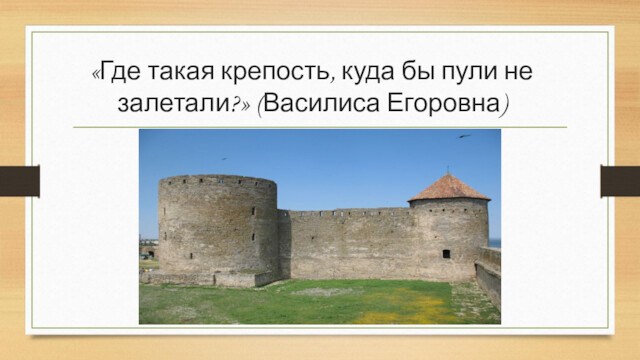 «Где такая крепость, куда бы пули не залетали?» (Василиса Егоровна)