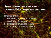 Физиологические основы ПФИ: нервная система