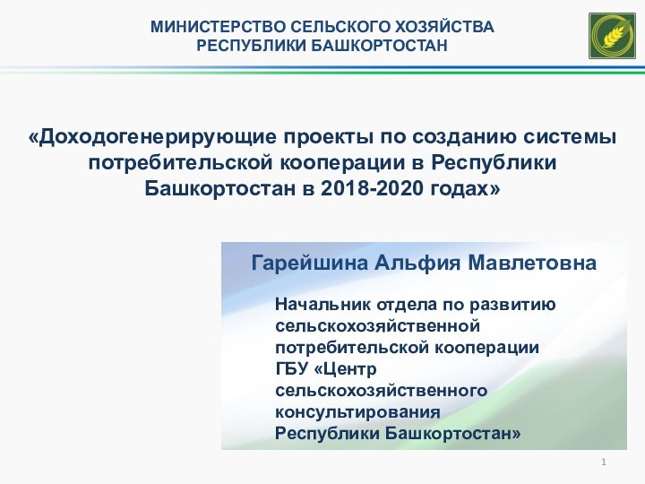 Доходогенерирующие проекты по созданию системы потребительской кооперации в Республики Башкортостан