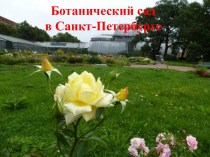 Ботанический сад в Санкт-Петербурге
