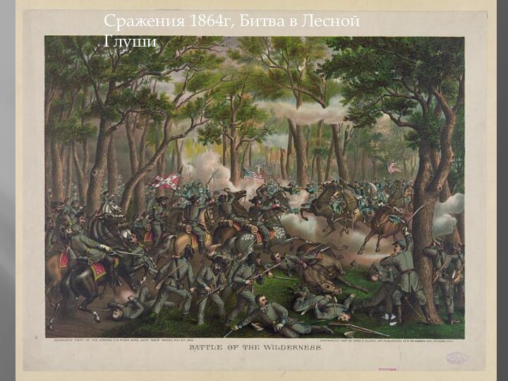Сражения 1864г, Битва в Лесной Глуши