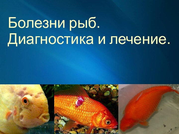 Болезни рыб. Диагностика и лечение.