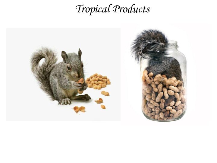 Tropical Products