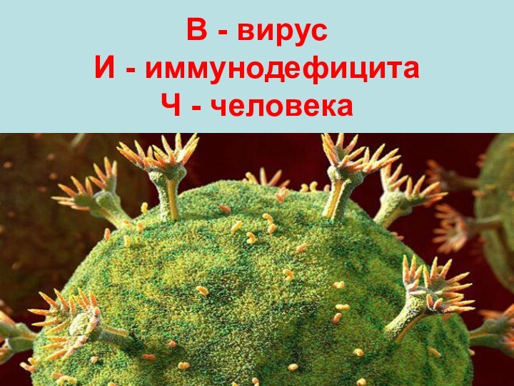 В - вирус И - иммунодефицита Ч - человека