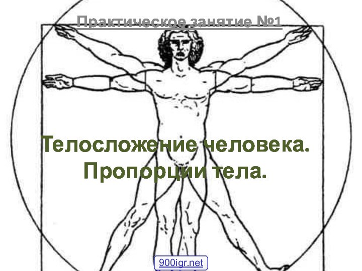 Телосложение человека. Пропорции тела.  Практическое занятие №1 900igr.net