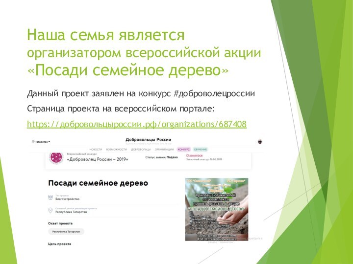 Наша семья является организатором всероссийской акции «Посади семейное дерево» Данный проект заявлен на конкурс #доброволецроссии