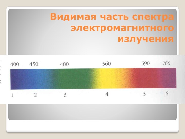 Видимая часть спектра электромагнитного излучения
