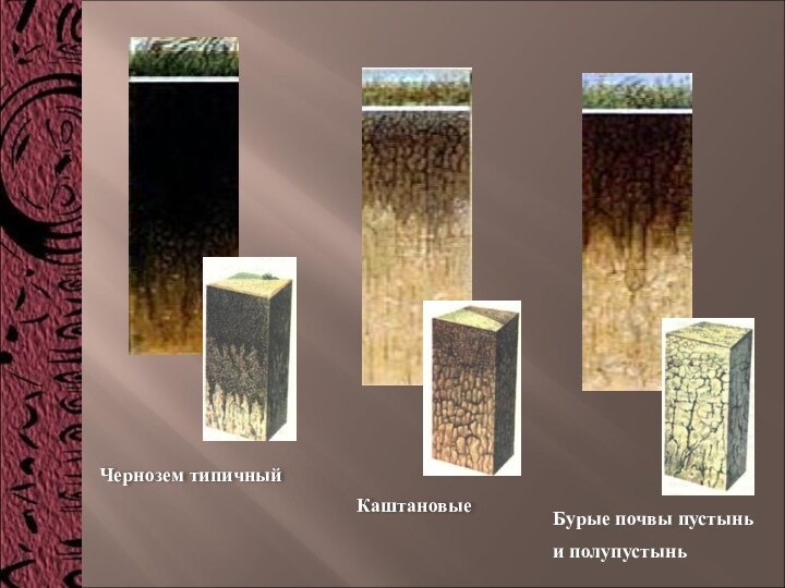 Чернозем типичныйКаштановыеБурые почвы пустынь и полупустынь