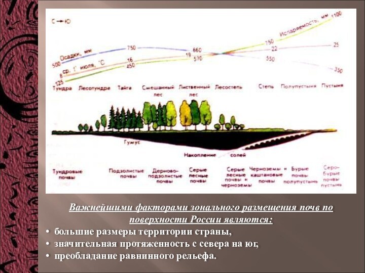 Важнейшими факторами зонального размещения почв по поверхности России являются:   большие размеры территории страны,