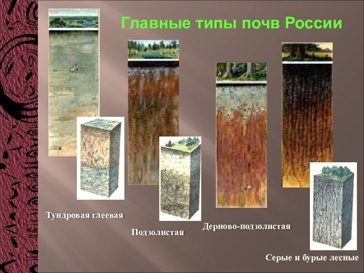 Тундровая глееваяПодзолистаяДерново-подзолистая Серые и бурые лесныеГлавные типы почв России