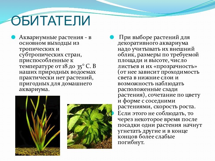 ОБИТАТЕЛИ Аквариумные растения - в основном выходцы из тропических и субтропических стран, приспособленные к температуре