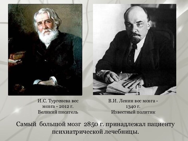 И.С. Тургенева вес мозга - 2012 г.Великий писательВ.И. Ленин вес мозга - 1340 г.Известный политикСамый