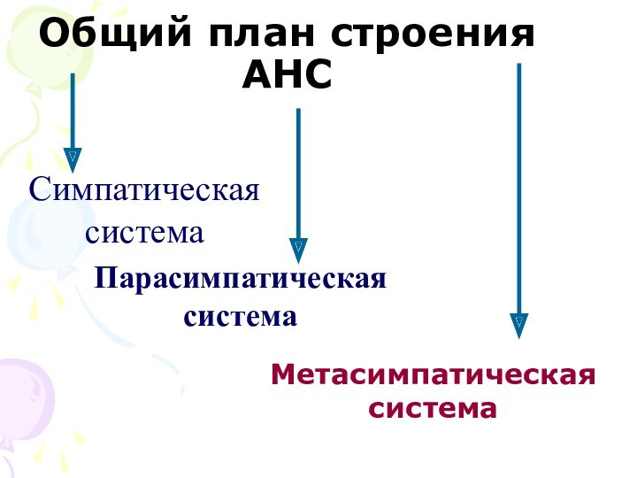 Общий план строения АНС Симпатическая  система Парасимпатическая  система Метасимпатическая система