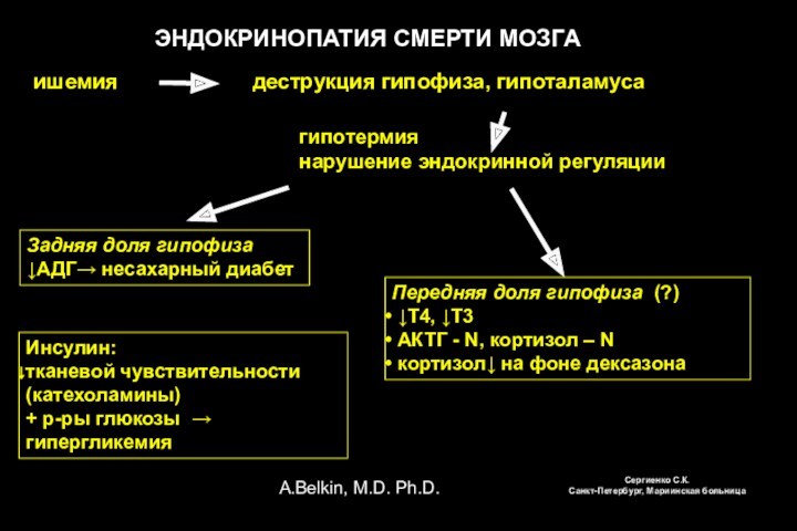 A.Belkin, M.D. Ph.D. ЭНДОКРИНОПАТИЯ СМЕРТИ МОЗГА ишемия  деструкция гипофиза, гипоталамуса гипотермия нарушение эндокринной регуляции