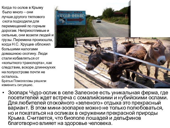 Когда-то ослов в Крыму было много – они  лучше другого тяглового скота подходили для