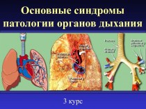 Синдромы патологии органов дыхания