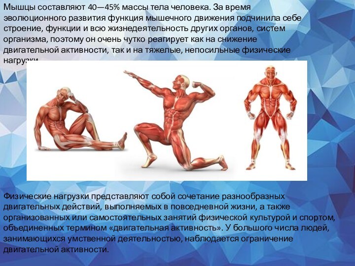 Мышцы составляют 40—45% массы тела человека. За время эволюционного развития функция мышечного движения подчинила себе