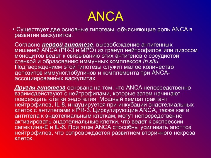 АNCА Существует две основные гипотезы, объясняющие роль ANCA в развитии васкулитов. Согласно первой гипотезе, высвобождение