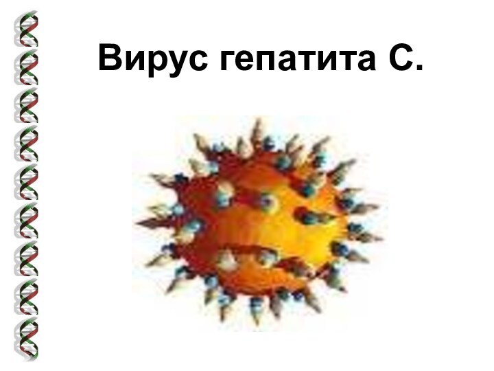 Вирус гепатита С.