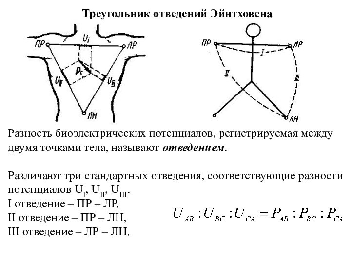 Треугольник отведений Эйнтховена  Разность биоэлектрических потенциалов, регистрируемая между двумя точками тела, называют отведением.