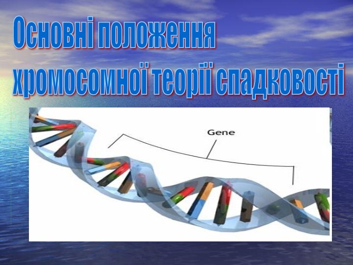 Основні положення  хромосомної теорії спадковості
