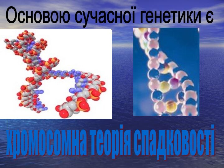 Основою сучасної генетики є хромосомна теорія спадковості