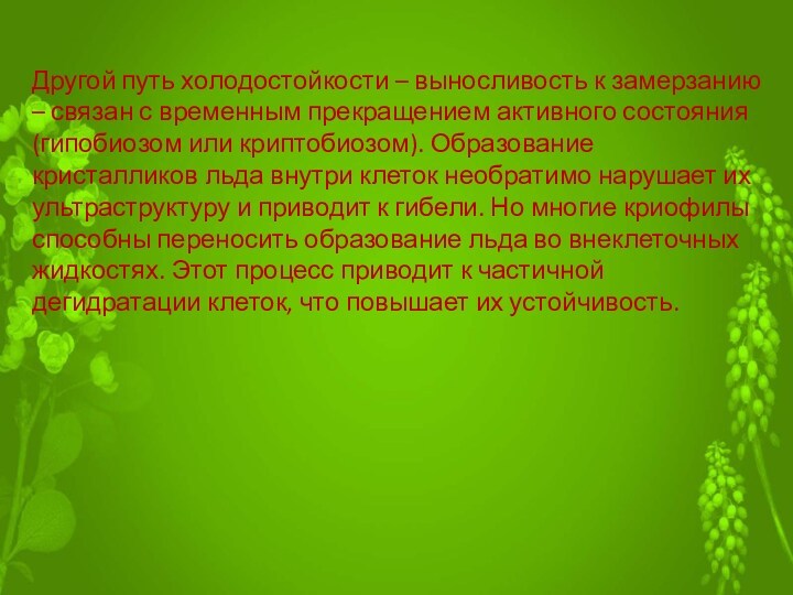 Сочинение описание окружающей среды. Экологические характеристики организмов. Экологическое описание. Характеристики экологического описания.