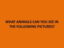 Animals in pictures