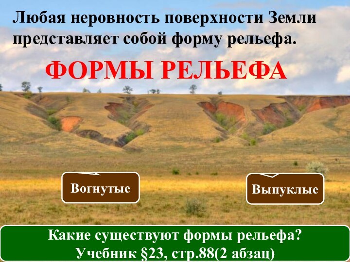 Какие формы рельефа соответствуют платформам