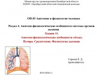 Анатомо-физиологические особенности лёгких. (Лекция 11)