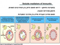 Soluble mediators of Immunity
