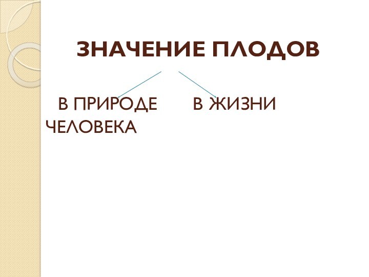 Какое значение плодов в природе. Значение плодов в природе. Значение плодов в природе и для человека. Значение плодов в жизни человека. Значение плодов в природе и в жизни.