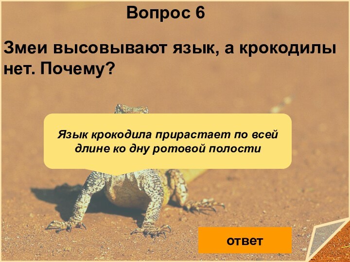 Тест по рептилиям 8 класс. Почему змеи высовывают язык. Вопросы по пресмыкающимся. Почему крокодилы не могут высовывать язык. Почему змея высовывает свой язык.