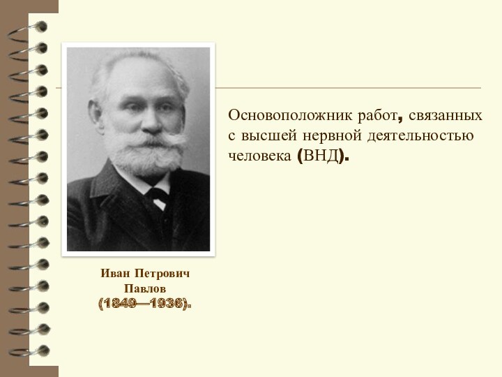 Вклад отечественных ученых в разработку учения о высшей нервной деятельности презентация
