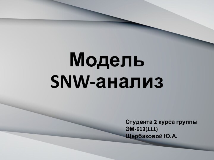 Модель SNW-анализ