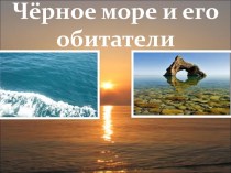 Чёрное море и его обитатели