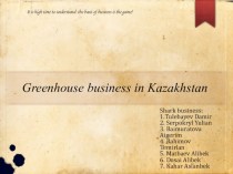 Greenhouse business in Kazakhstan