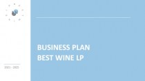 Business plan. Best Wine LP (UK)