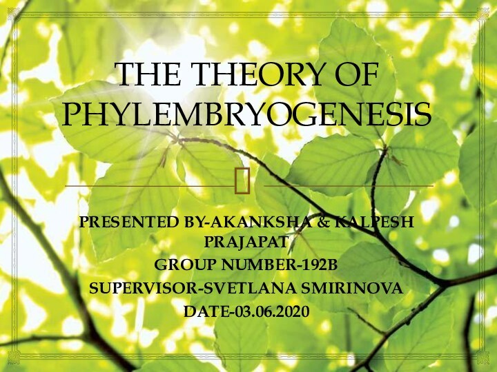 The theory of phylembryogenesis