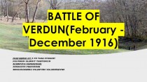 Battle of Verdun (February - December 1916)