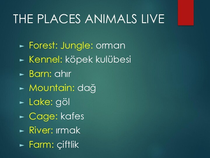 THE PLACES ANIMALS LIVEForest: Jungle: ormanKennel: köpek kulübesiBarn: ahırMountain: dağLake: gölCage: kafesRiver: ırmakFarm: çiftlik