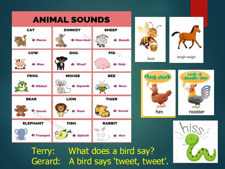 Terry:  What does a bird say?Gerard: A bird says ‘tweet, tweet’.
