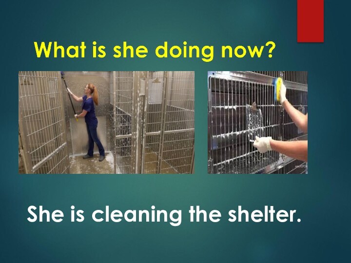 She is cleaning the shelter.