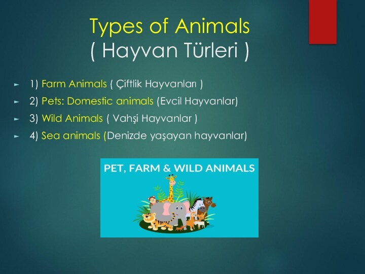 Types of Animals    ( Hayvan Türleri )1) Farm Animals