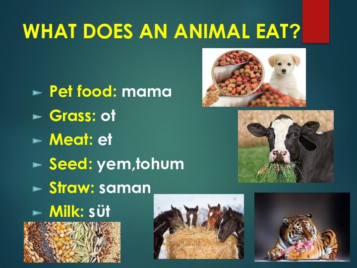 WHAT DOES AN ANIMAL EAT?Pet food: mamaGrass: otMeat: etSeed: yem,tohumStraw: samanMilk: süt