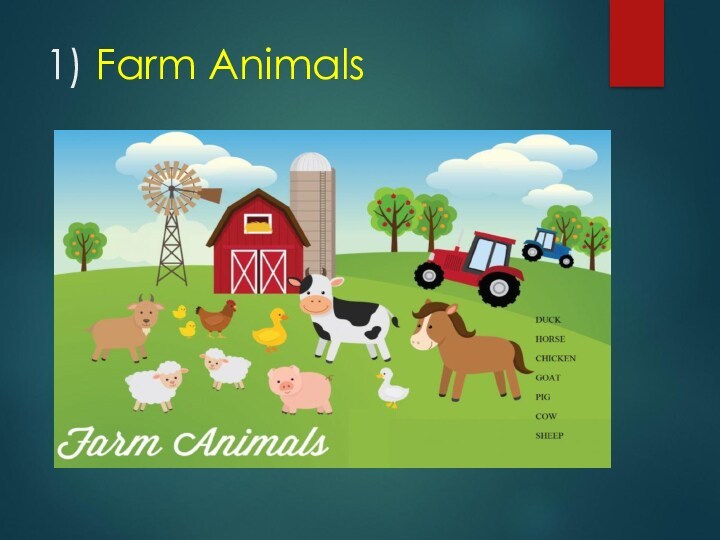 1) Farm Animals