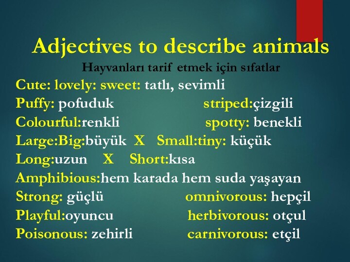 Adjectives to describe animals Hayvanları tarif etmek için sıfatlarCute: lovely: sweet: tatlı, sevimliPuffy: pofuduk