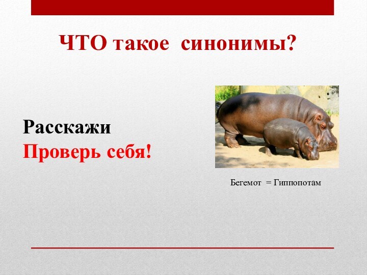 ЧТО такое синонимы?Бегемот = Гиппопотам РасскажиПроверь себя!