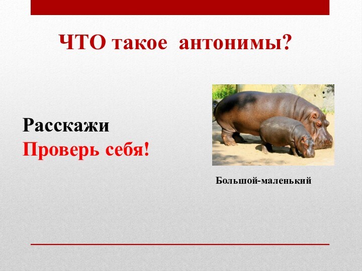 ЧТО такое антонимы?Большой-маленькийРасскажиПроверь себя!